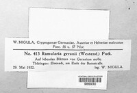 Image Associated With the Occurence